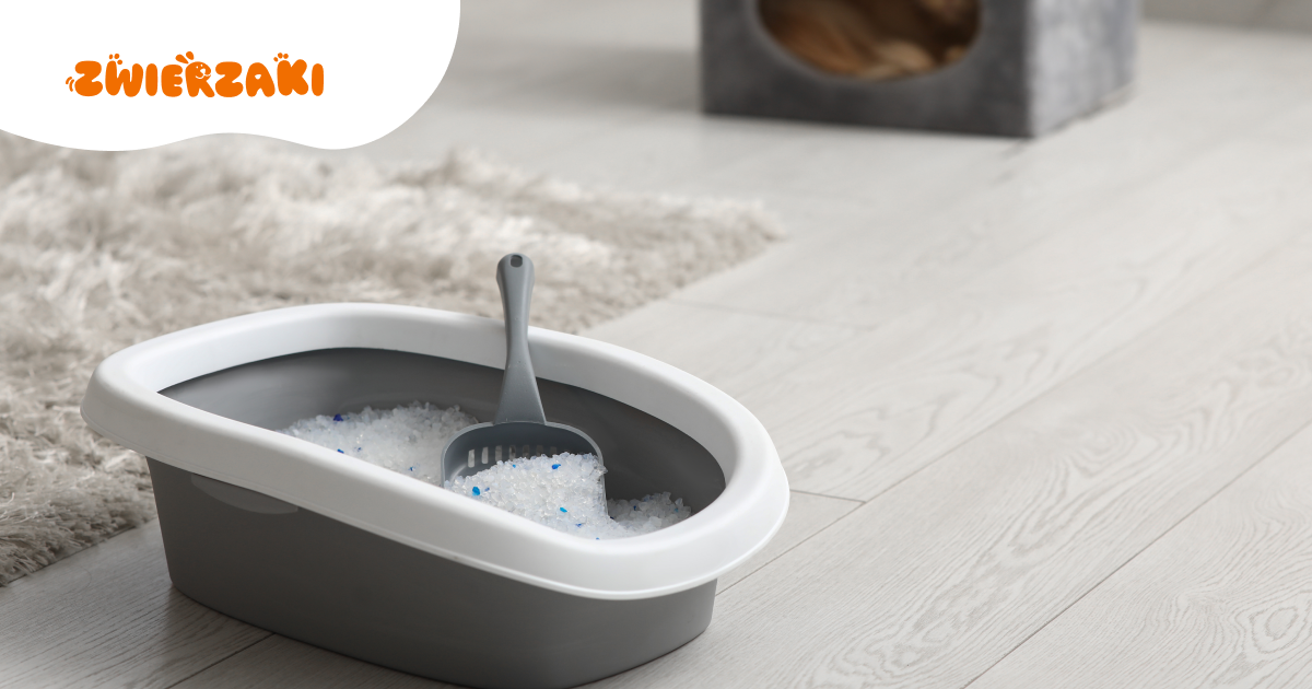 Ekologiczne kuwety, żwirki i akcesoria: czy ekologiczne wyroby naprawdę działają?