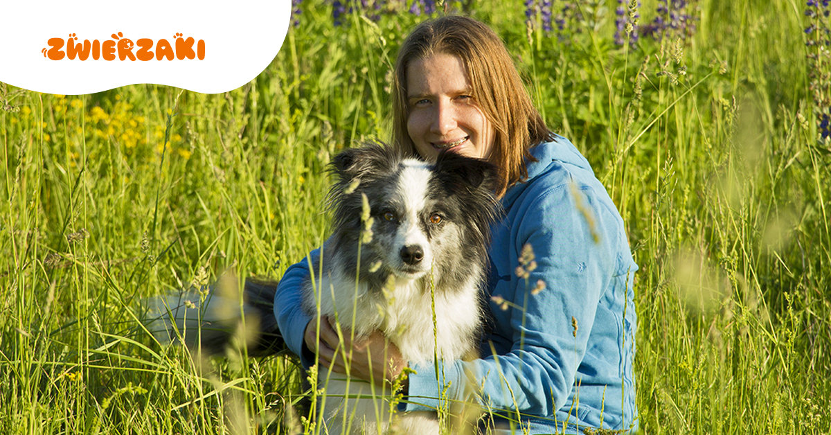 „Psy mile widziane”? Nie zawsze. Co naprawdę oznacza „pet friendly” i jak zaplanować wyjazd z psem