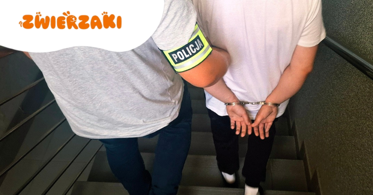 Areszt za seksualne znęcanie się nad psem