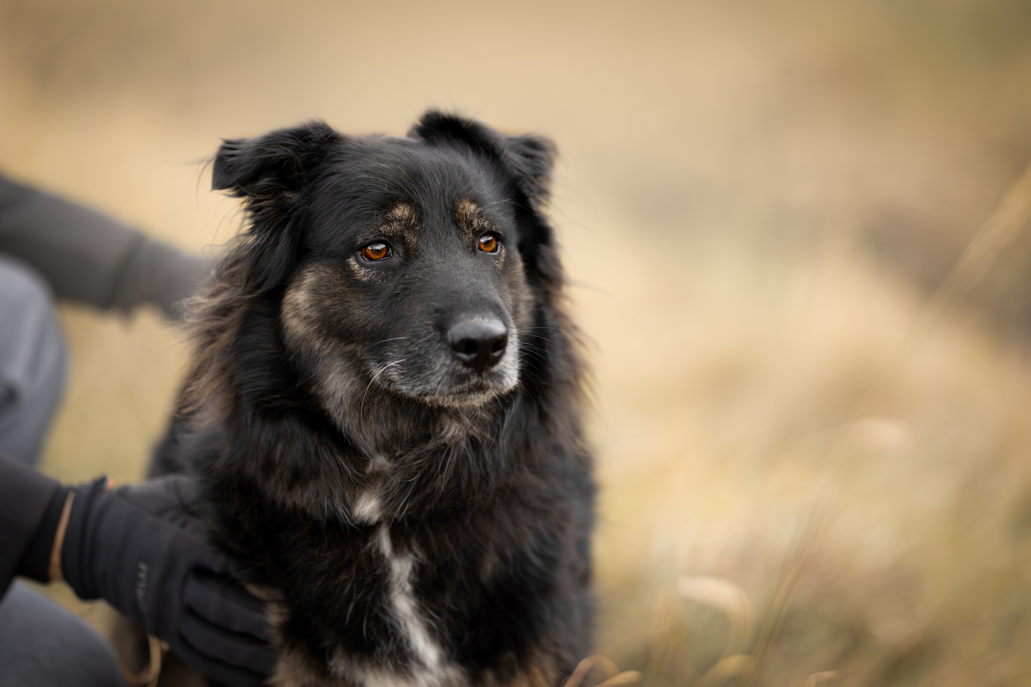 Axel