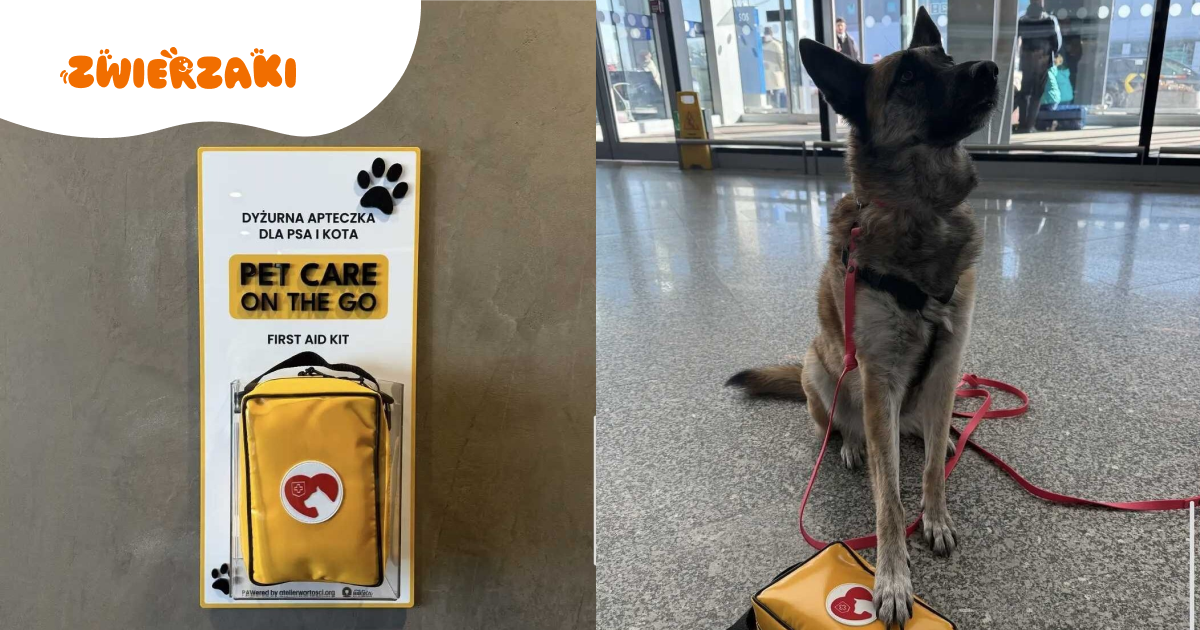 Podróż z pupilem bez stresu! Apteczki dla zwierząt są już na Lotnisku Chopina
