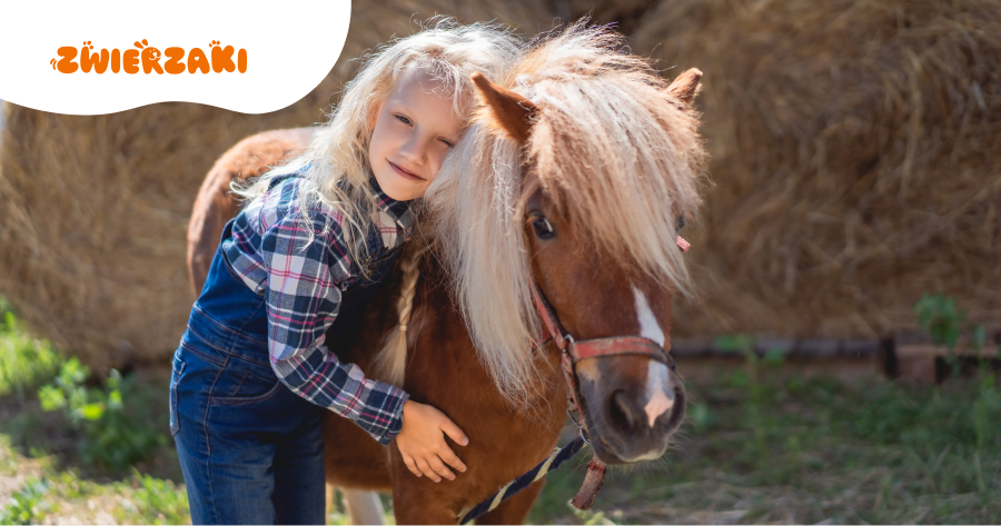 Rola koni w rozwoju emocjonalnym dzieci: jak wspierają w hipoterapii?