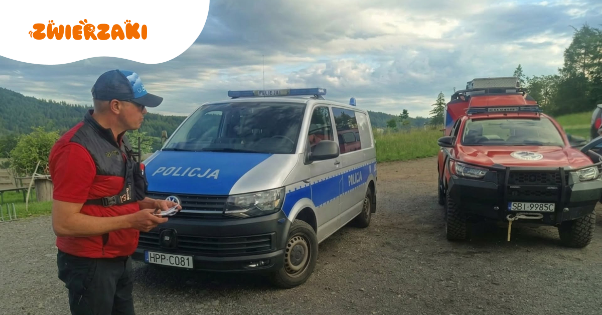 Turystka pogryziona przez psa w Beskidach. GOPR apeluje o pełną kontrolę nad zwierzętami na szlakach