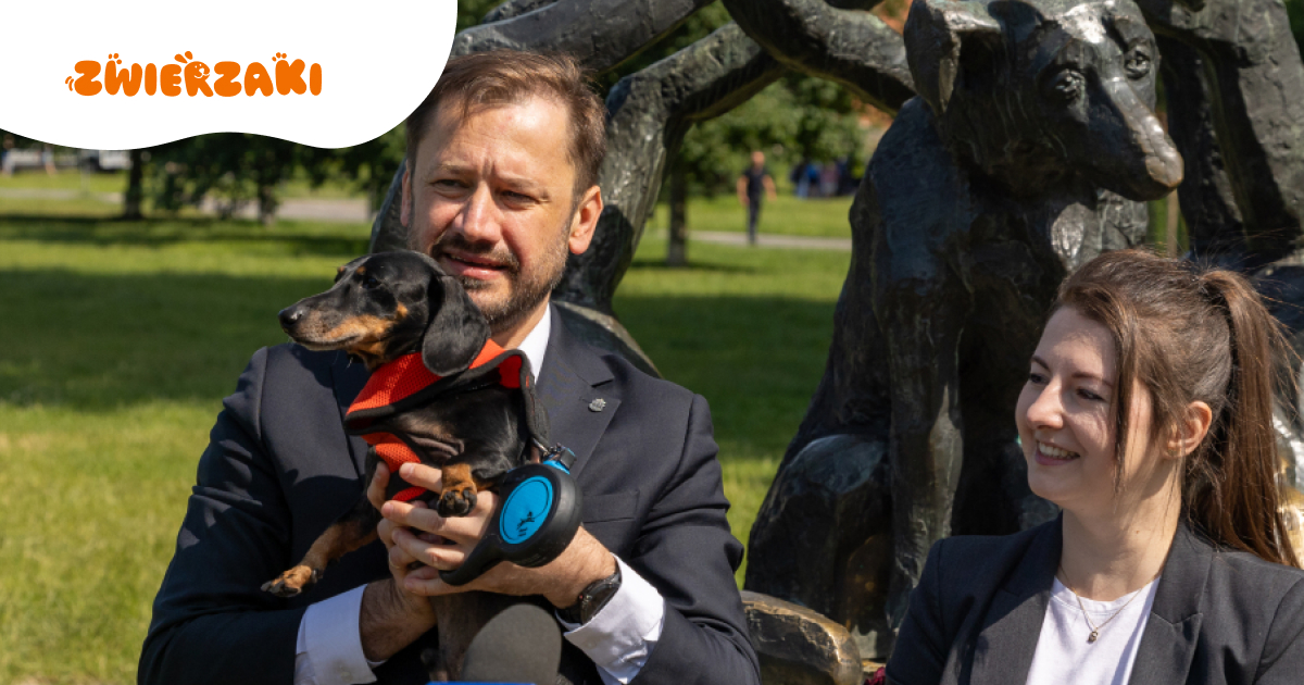 Kraków ma rzeczniczkę zwierząt! Kim jest i co zamierza zrobić?