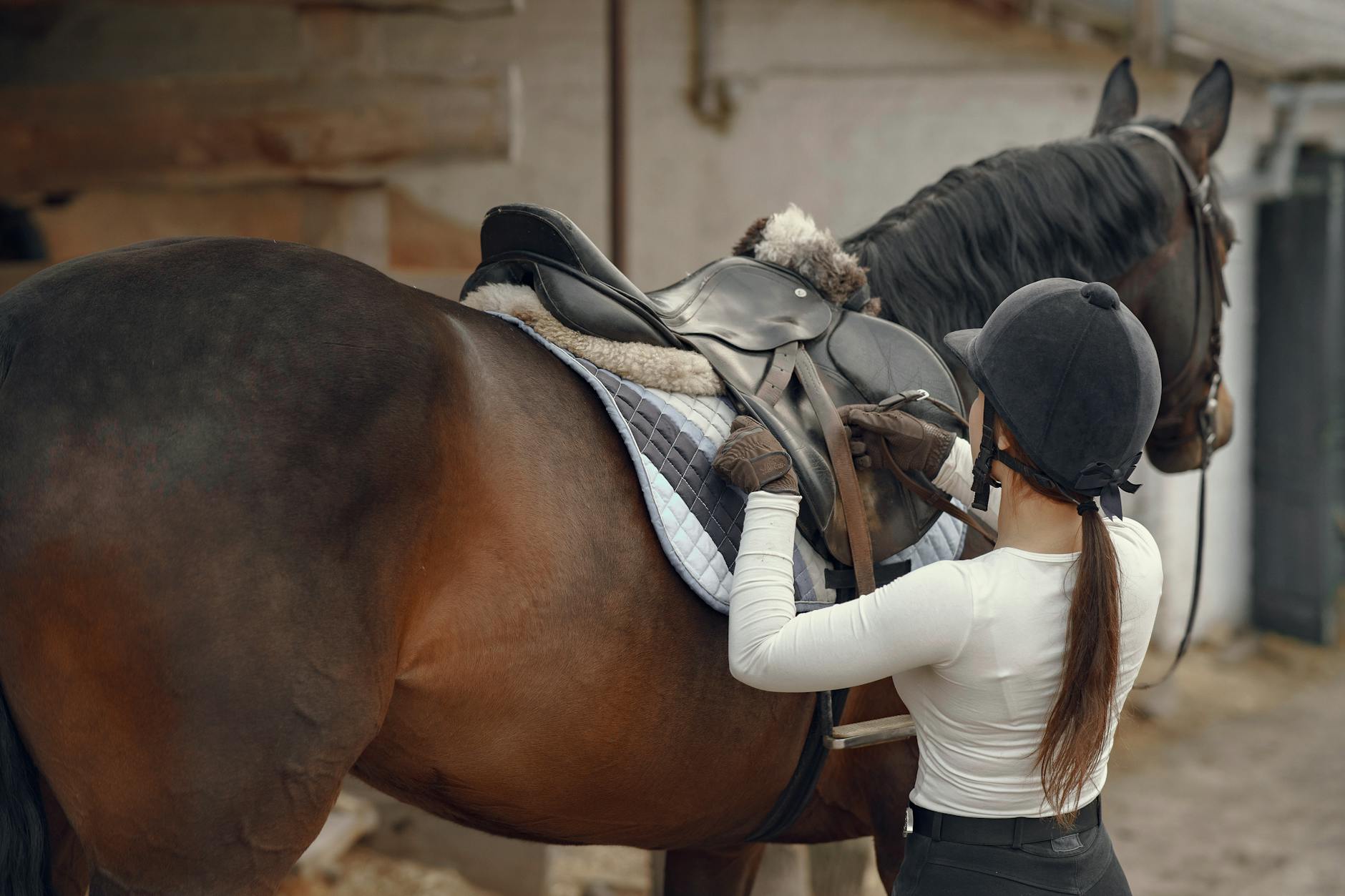 Czaprak dla konia – komfort i ochrona z Horse Trade