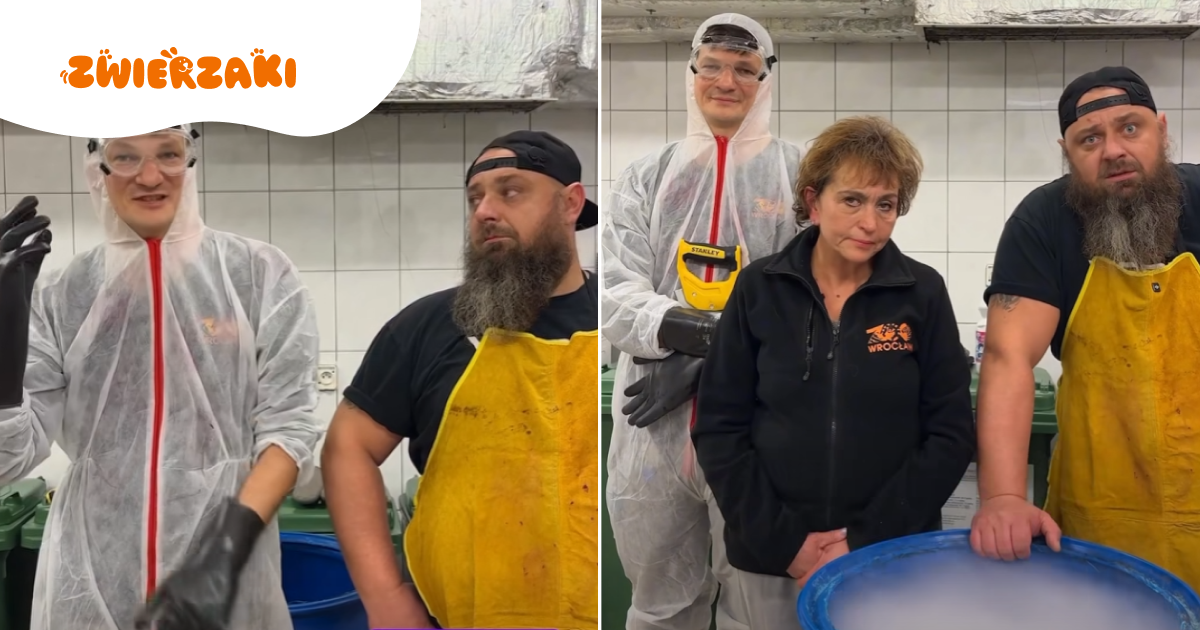 Zoo Wrocław w viralowym nagraniu: piła, plastikowa beczka i wybielacz — jak chronić zwierzęta przed fajerwerkami?