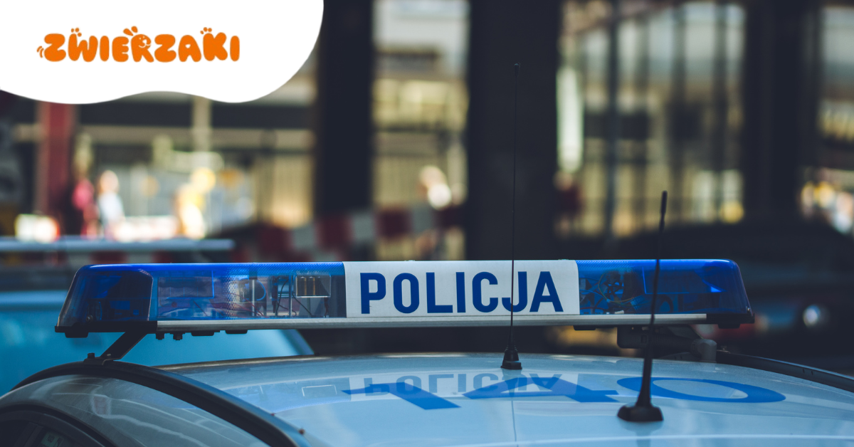 Zaniepokojona sąsiadka wezwała pomoc. Policjanci zajęli się pozostawionym w mieszkaniu psem