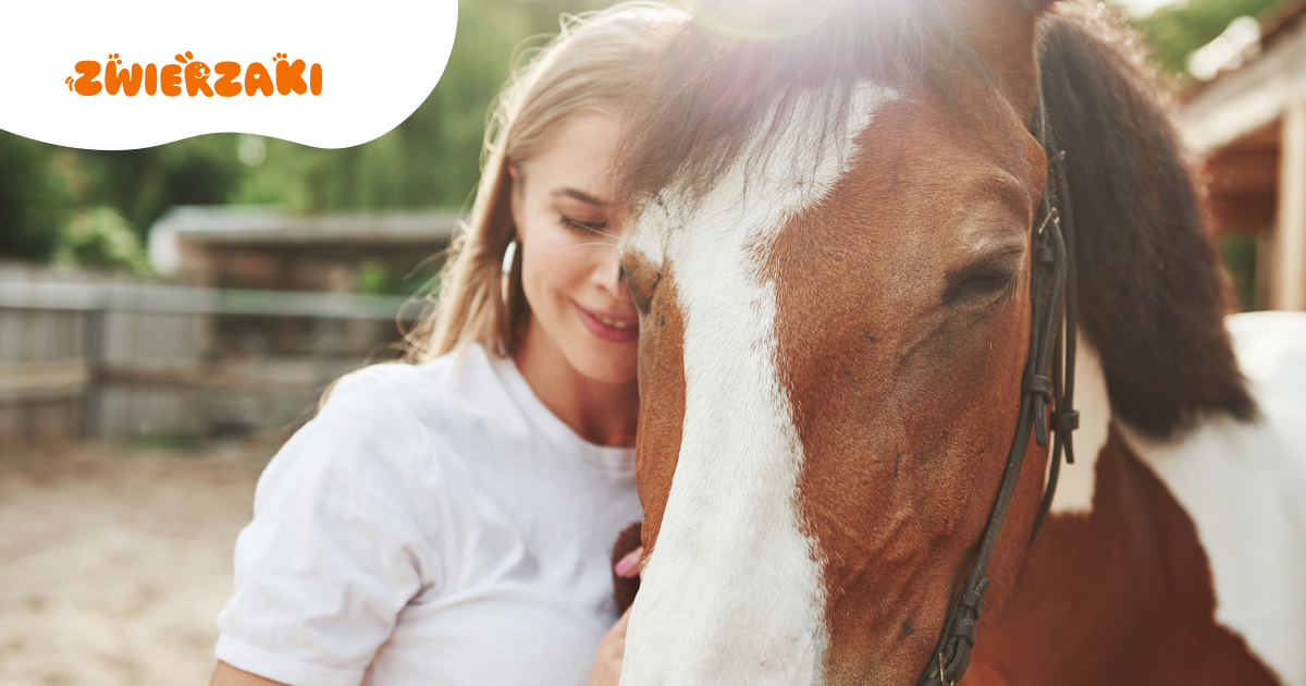 Adopcja koni. Jak uratować zwierzę i dać mu nowy dom?