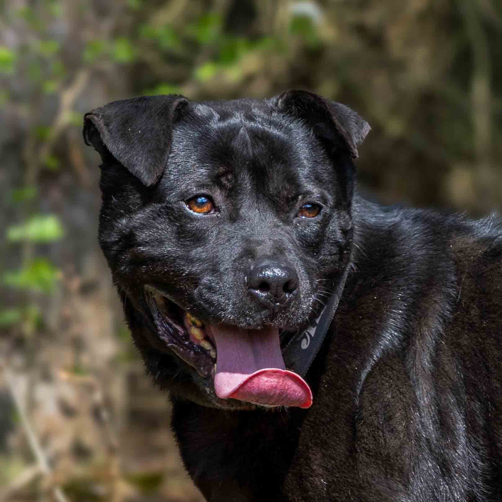 Marco