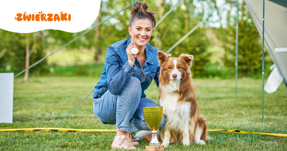 Wystawy psów w I kwartale 2026 roku: co czeka hodowców i miłośników wystaw?