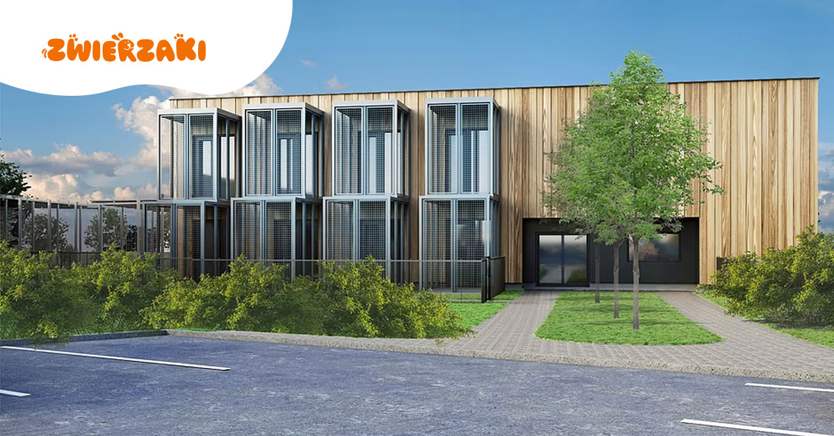 Powstaje Dom Gdańskiego Kota. Tak będą mieszkać koty ze schroniska