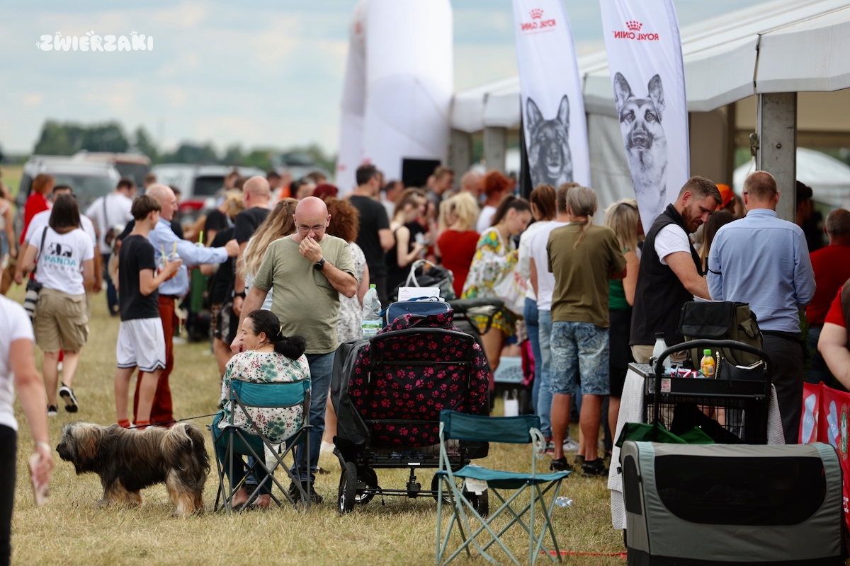 Międzynarodowa Wystawa Psów Rasowych w Rudnikach zachwyciła!