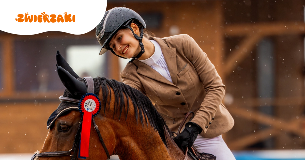 Marta Piszczek ambasadorką adopcji zwierząt w portalu Zwierzaki.info